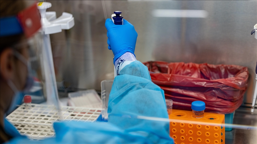 Scientists discover new component of immune system, offer new potential target for antibiotic development