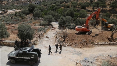 Illegal Israeli settlers cut down 100 olive trees in West Bank