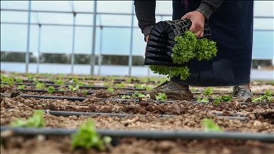 Turkish women farmers to have more representation in projects with UN quota