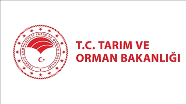 Tarım ve Orman Bakanlığından "Tunceli'de tavukların gerekçesiz itlaf edildiği" iddialarına ilişkin açıklama