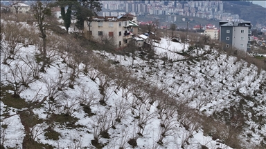 Kar fındıkta verim kaybına neden olmadı