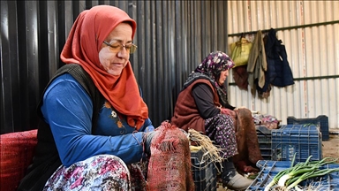 Bilecik'te yetiştirilen yeşil soğan kadınların elinde demetlenip satışa sunuluyor