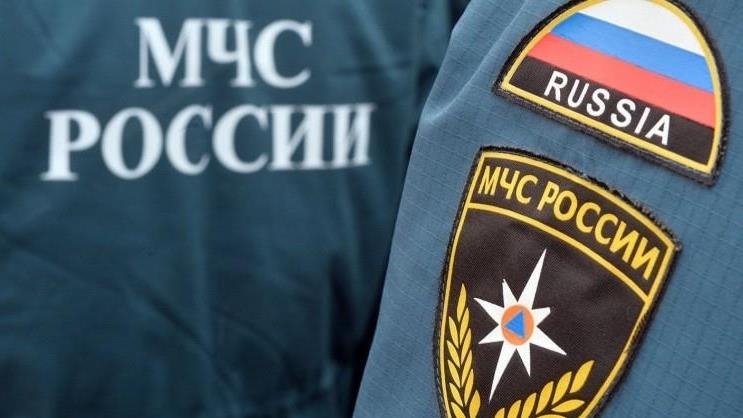 При пожаре в тепличном комплексе в Подмосковье погибли четыре человека