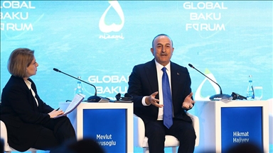 TBMM NATO PA Türk Delegasyonu Başkanı Çavuşoğlu: Cumhurbaşkanımız, krizlerin çözümünde çok aktif çalışıyor