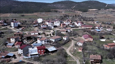 Yüzde 68'i ormanlardan oluşan Sinop'ta ORKÖY orman köylülerine can suyu oluyor