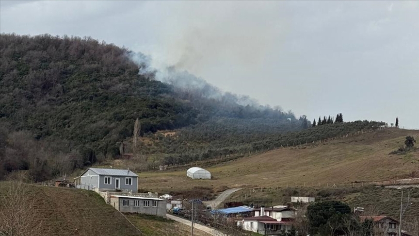 Yalova'da ormanlık alanda çıkan yangına müdahale ediliyor