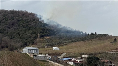 Yalova'da ormanlık alanda çıkan yangına müdahale ediliyor