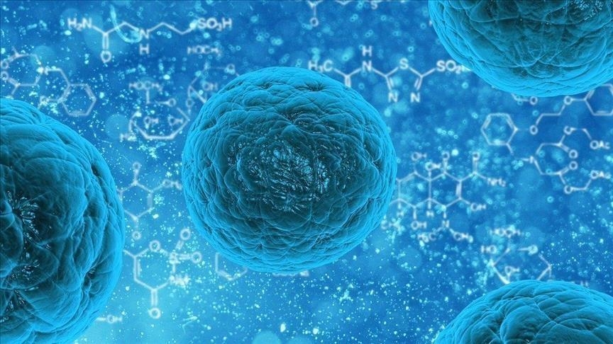 Chinese scientists develop cancer treatment that makes tumors mimic ‘pork’