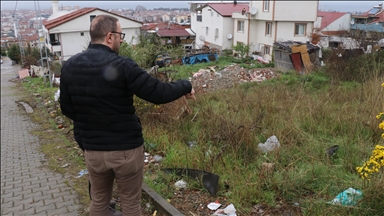 Yalova'da bakkala giderken sahipsiz köpeklerin saldırdığı çocuk ağır yaralandı