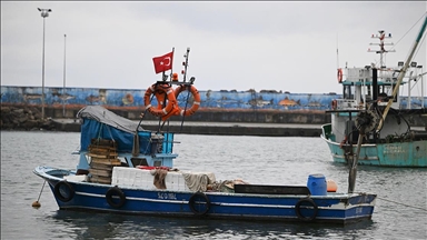 Batı Karadeniz'de kıyı balıkçıları, sezonun geri kalanından umutlu