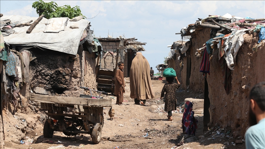 Afghan top diplomat urges ‘gradual’ return of refugees from neighboring nations
