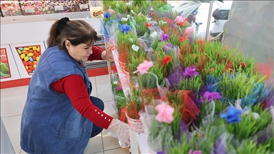 Iğdır'da yetiştirilen semeniler, Nevruz Bayramı için hazırlanıyor