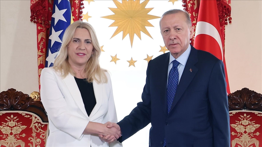 Erdogan se u Istanbulu sastao sa predsjedavajućom Predsjedništva BiH Cvijanović