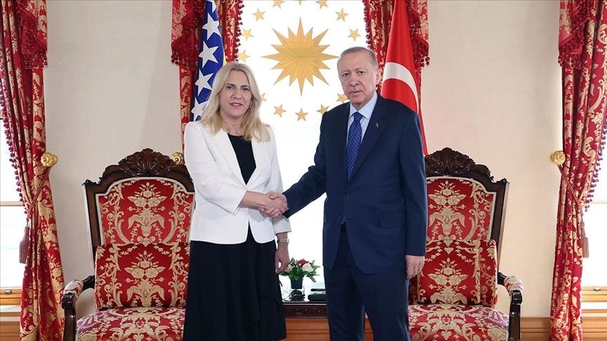 أردوغان يلتقي رئيسة المجلس الرئاسي للبوسنة والهرسك بإسطنبول