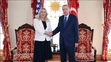 Turkish president welcomes Bosnia and Herzegovina’s presidential council chair in Istanbul