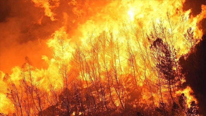 Wildfires spread in western Japan, thousands ordered to evacuate
