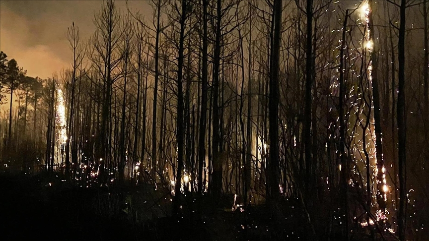 Wildfires in South Korea kill at least 24, firefighting helicopter crashes