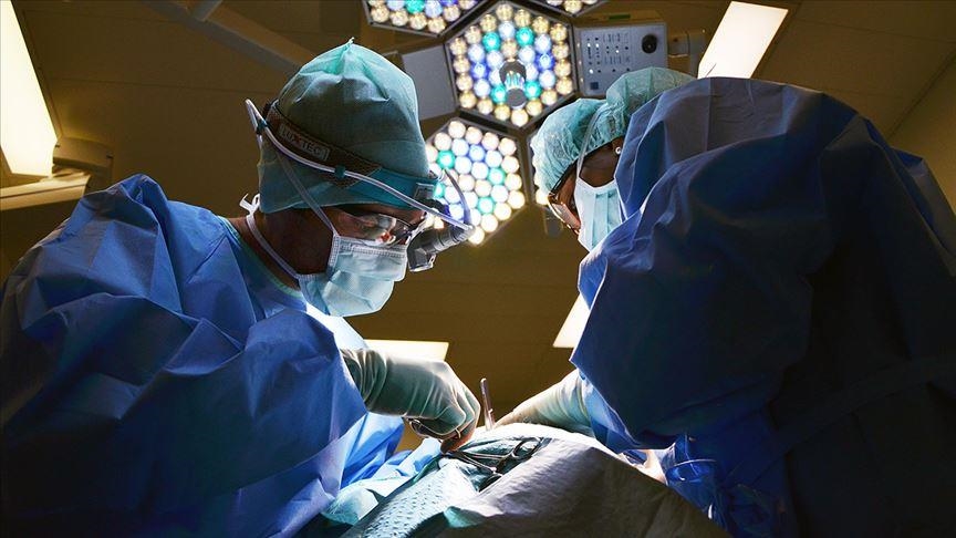Chinese researchers transplant world's 1st gene-edited pig liver into human