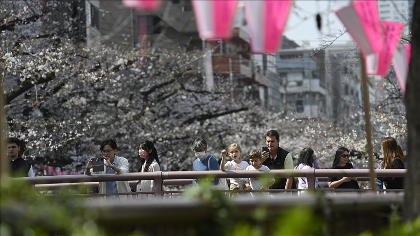 Japanci uživaju u cvjetanju japanske trešnje