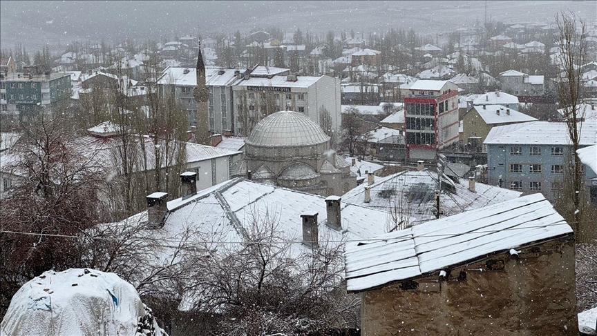 Van'ın Başkale ilçesinde kar yağdı