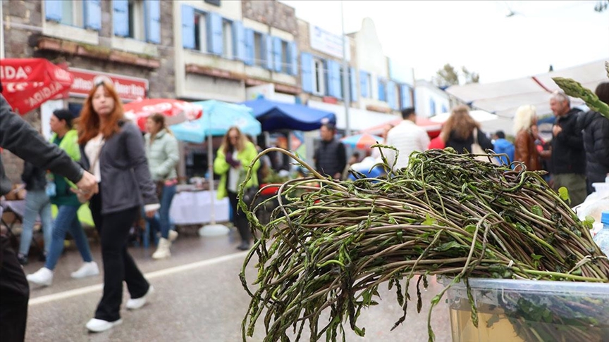 Bodrum'da "6. Acı Ot Festivali" düzenlendi