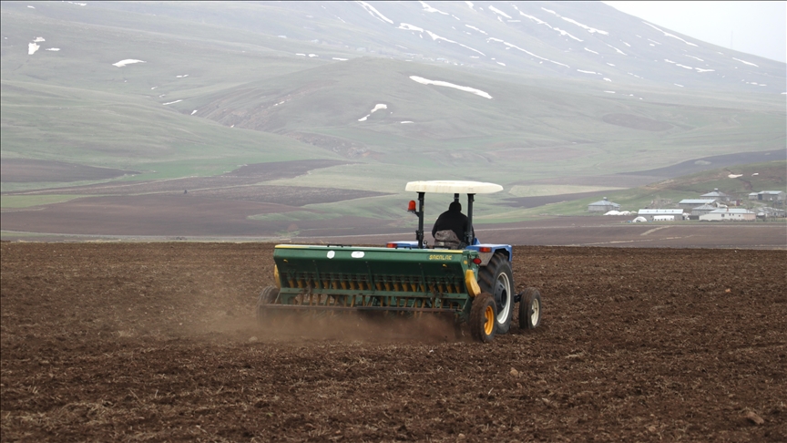 Ağrı'nın verimli ovasındaki tarlalarda ekim zamanı