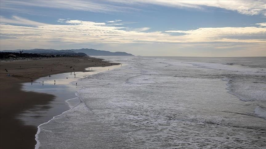 New Zealand’s cities are sinking, risk being affected by rising seas: Study