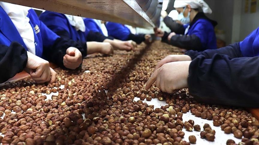 Türkiye'nin fındık ihracatının yüzde 36'sı Trabzon'dan yapıldı