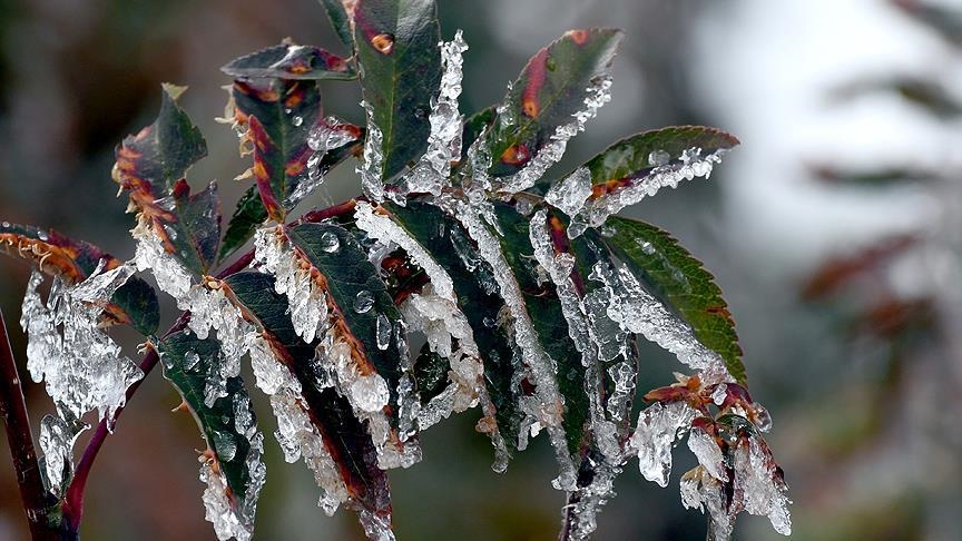 Meteorolojiden zirai don uyarısı