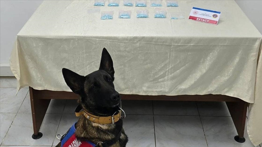 Kanepeye gizlenen uyuşturucu "Benek"in hassas burnundan kaçmadı