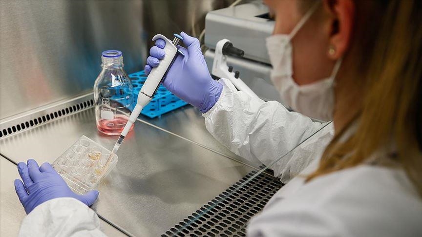 Japanese biotech firm seeks approval for heart cell therapy using iPS cells