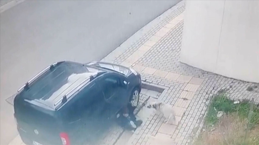 Bursa'da sahipsiz köpeklerin çocuğa saldırması güvenlik kamerasında