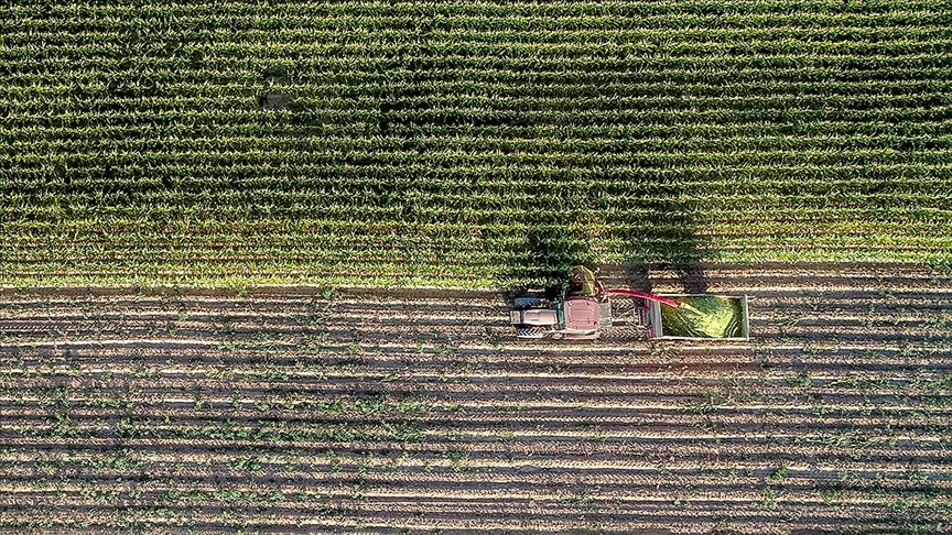 Çiftçilere yaklaşık 5,5 milyar lira destek ödemesi bugün yapılacak