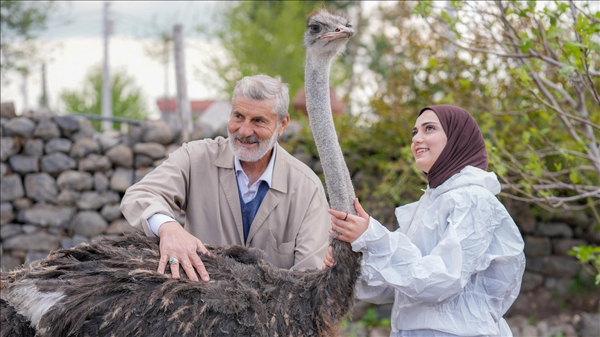 Diyarbakır'da yalnızlıktan strese giren firari deve kuşuna eş aranıyor