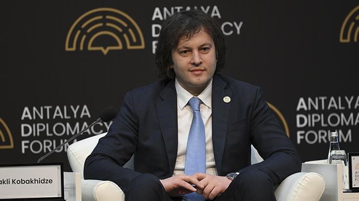 Премьер Грузии назвал главным приоритетом членство в ЕС