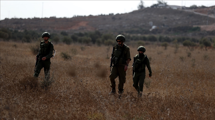 Filistin topraklarını gasbeden İsrailliler, Batı Şeria'da zeytin ağaçlarını kesti