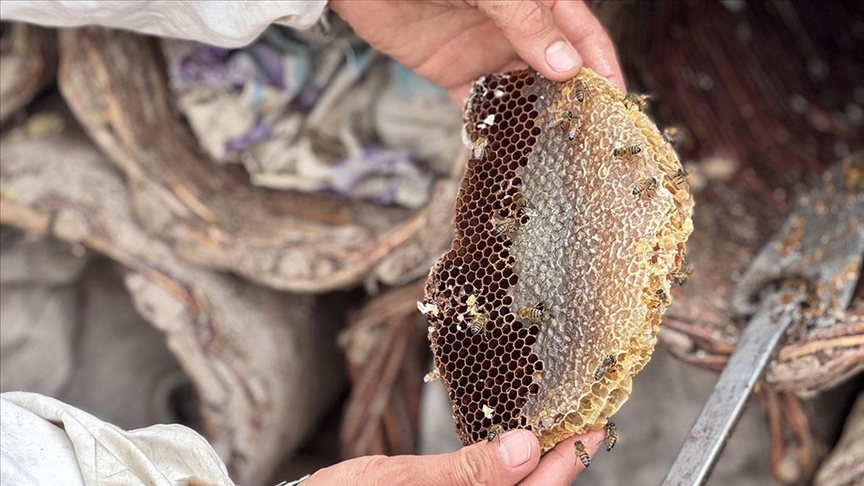 Dört kuşaktır arıcılık yapan ailesinin üretimine devletten aldığı destekle katkı sunacak