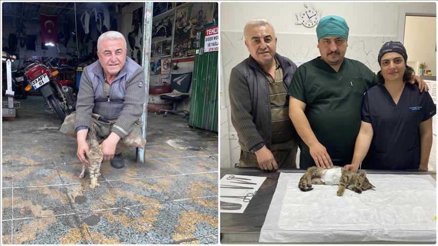 Manisalı esnaf iş yerine gelen yaralı kediyi sahiplendi