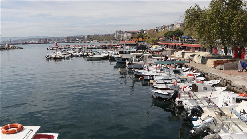 Tekirdağlı balıkçılar bu sezon umduğunu Karadeniz'de buldu