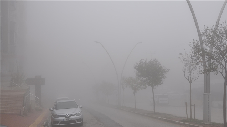 Mardin'de yoğun sis etkili oluyor