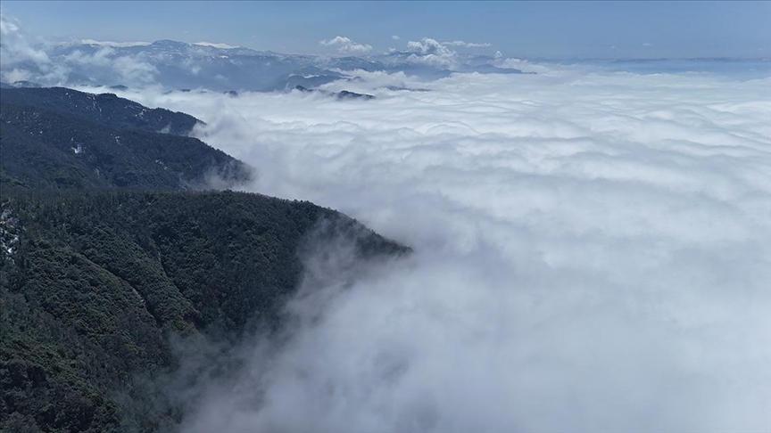 Ordu'da sis bulutu güzel manzara oluşturdu