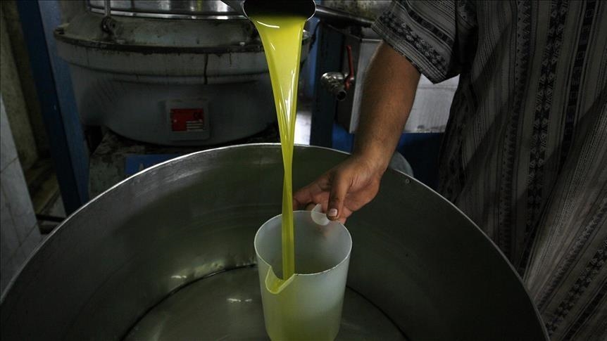 Huile d'olive : La Tunisie occupe la quatrième place mondiale avec 10% des exportations