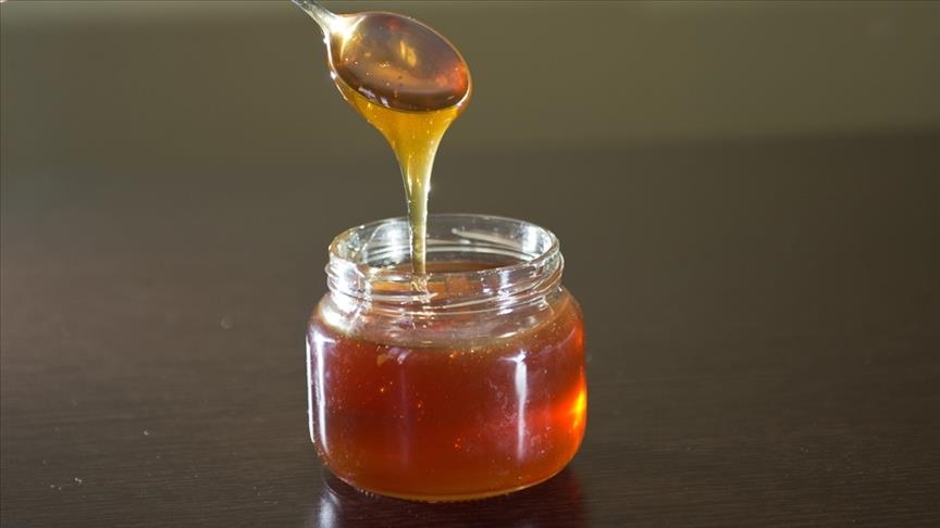 Türk balı yılın ilk çeyreğini 10,1 milyon dolarlık ihracatla kapattı