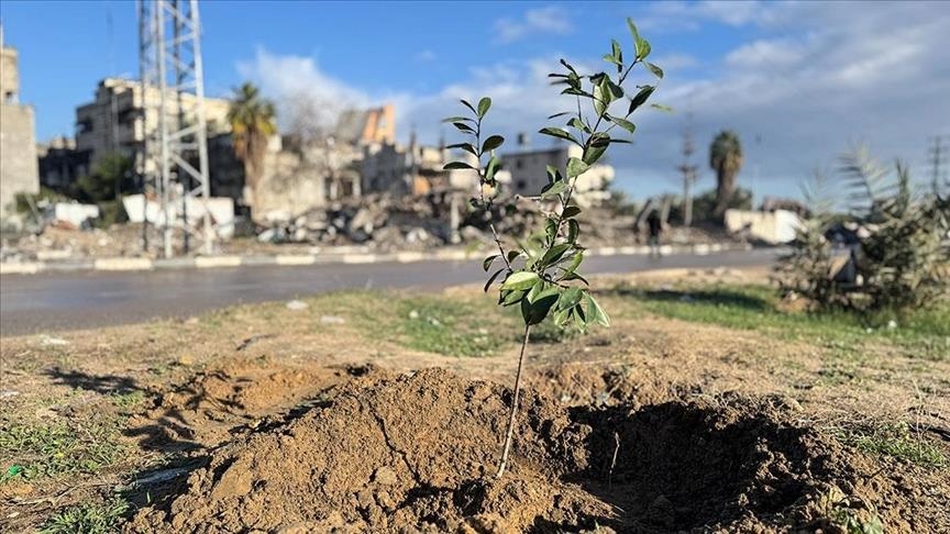 Armed Illegal Israeli settlers storm West Bank village, damage Palestinian property