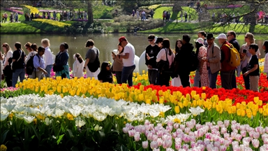 Otvoren Keukenhof, jedan od najvećih vrtova tulipana u svijetu