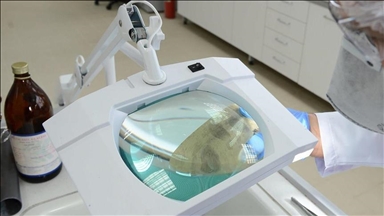 Dritë jeshile për mjetin e kompanisë AliBaba për zbulimin e kancerit me inteligjencë artificiale