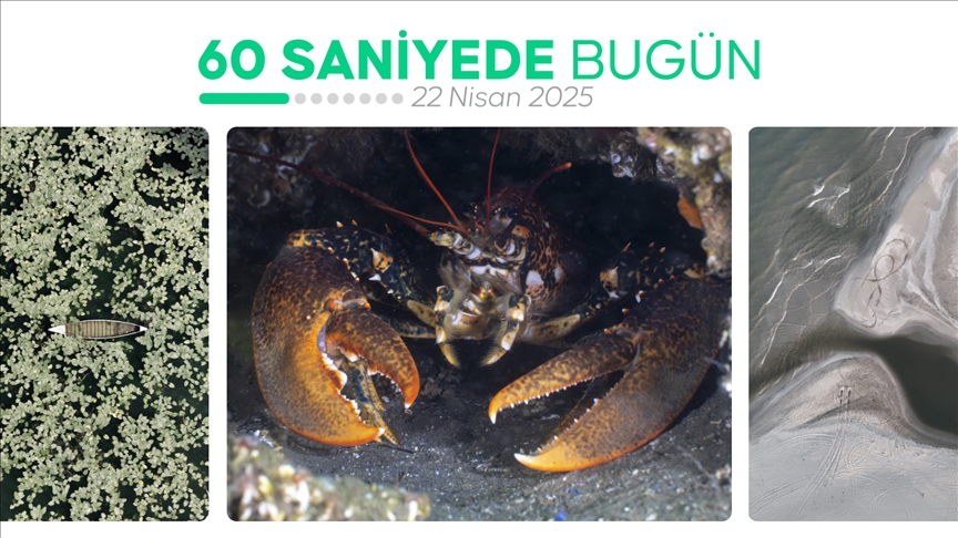 60 saniyede bugün (22 Nisan 2025)