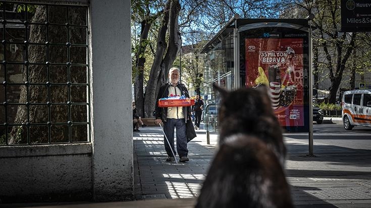 تترقبه كل يوم.. صداقة فريدة تجمع قطة بكفيف تركي