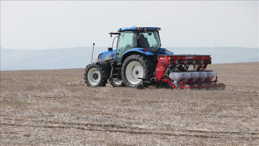 Tekirdağ'da ayçiçeğinin kuraklığa karşı dayanıklılığı için anıza ekim yapılıyor 