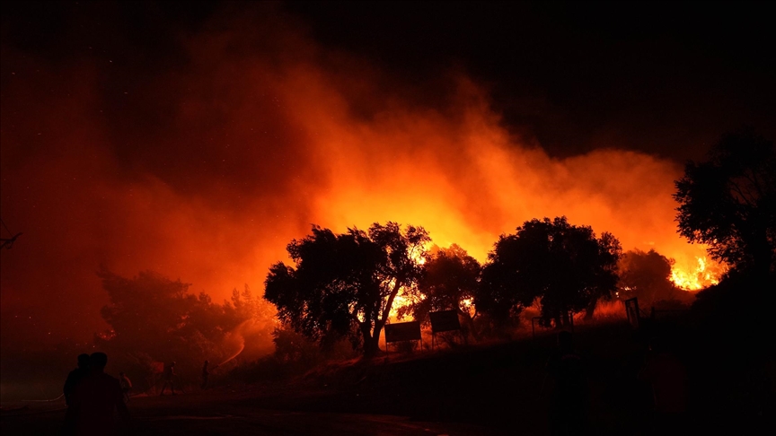 بعد 20 ساعة.. إسرائيل تعلن السيطرة على حرائق بين القدس وتل أبيب